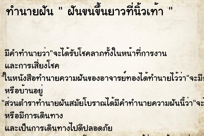 ทำนายฝันทำนายฝันฝันขนขึ้นยาวที่นิ้วเท้า